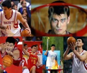 Puzzle Yao Ming αποσύρεται από την επαγγελματική καλαθοσφαίριση (2011)